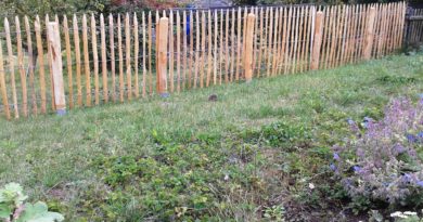 Der Zaunbau zum Nachbarn