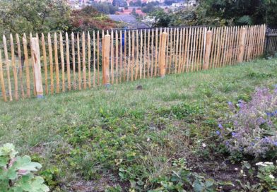 Der Zaunbau zum Nachbarn